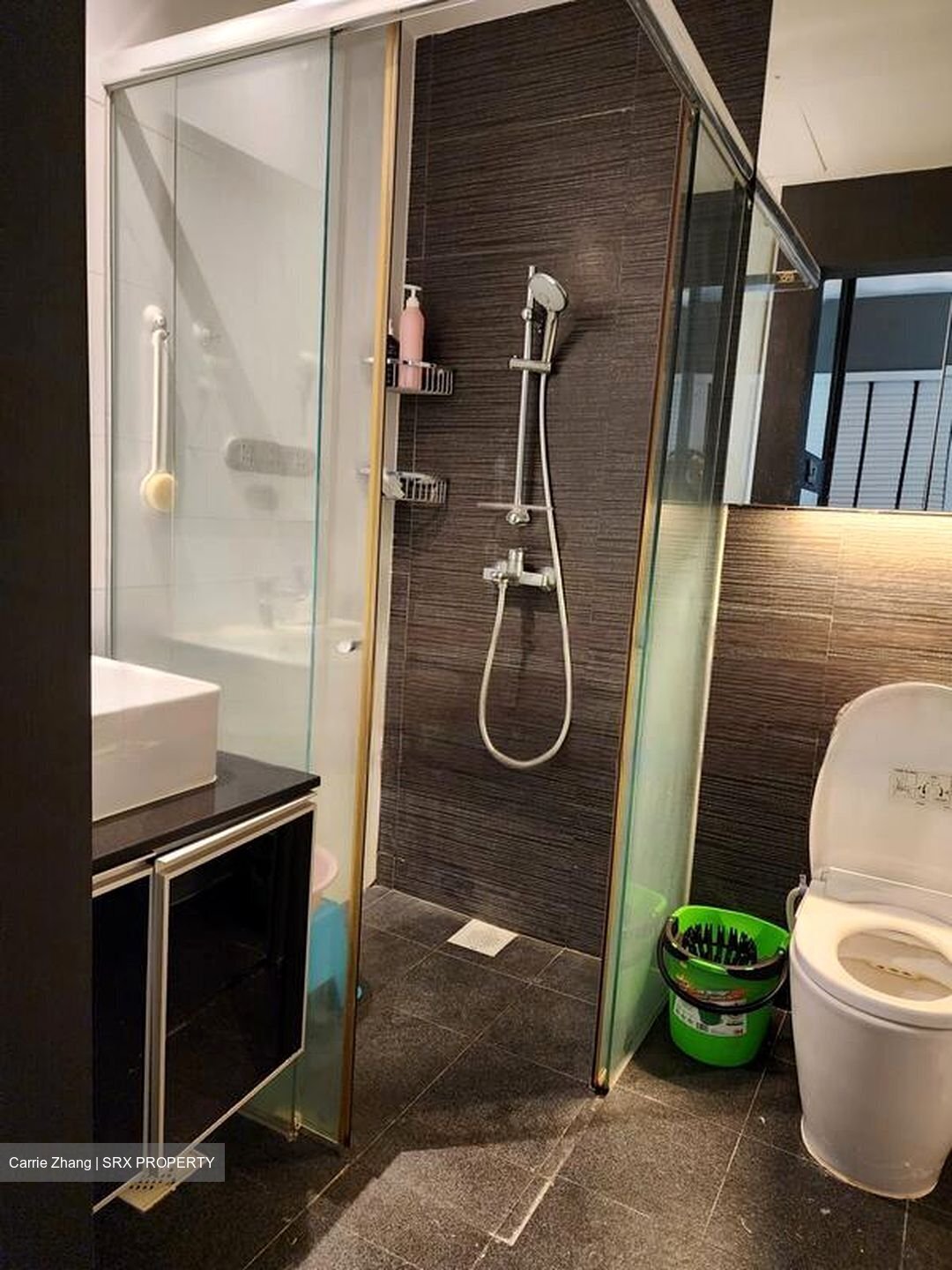 Loft @ Rangoon (D8), Apartment #457111851